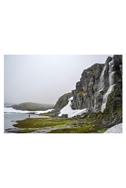 OEM Tablou Canvas, "Intalnire cu natura salbatica nordica", 54 x 39cm