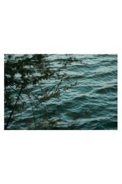 OEM Tablou Canvas, "Valuri mangaiate de crengi verzi", Valuri, Apa, Frunze, V...