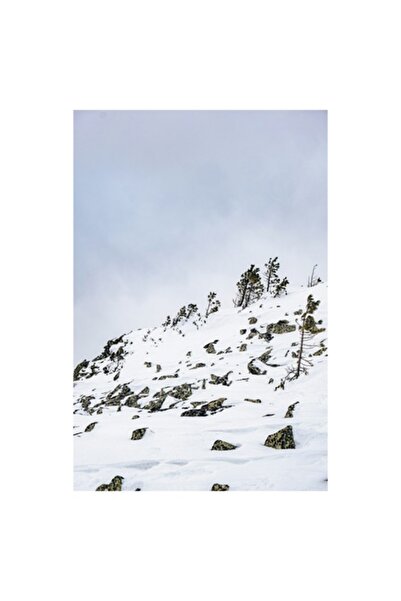 OEM Tablou Canvas, "Pinii singuratici pe creasta inzapezita", 50 x 90cm