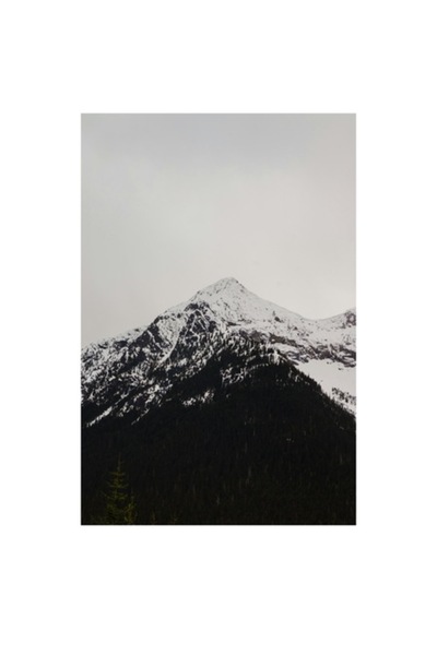 OEM Tablou Canvas, "Piscuri inzapezite sub cer gri", 50 x 70cm