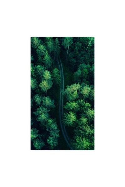 OEM Tablou Canvas, "Carare serpuita prin codrul verde", Padure, Poteca, Verdeata