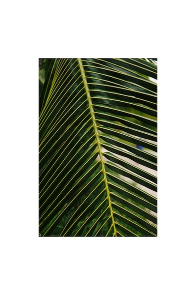 OEM Pictură pe pânză, „Frunză tropicală în briză”