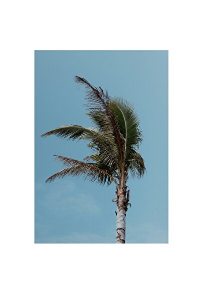 OEM Tablou Canvas, "Dansul Palmierului", 50 x 90 cm