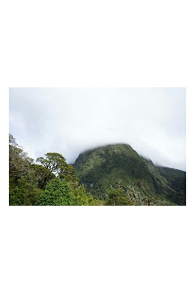 OEM Pictură pe pânză, „Munte ascuns sub pătura de nori”, Nor, Munte, Verdeață, Calm, Natură