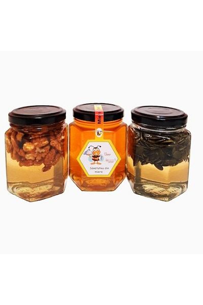 OEM Set 1 Borcan Miere Multifloră 250g, 1 Borcan Miere cu Semințe 250g, 1 Borcan Miere cu Nuci 250g