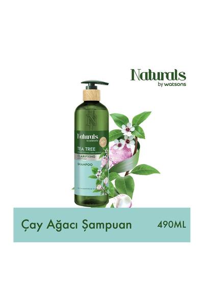 Naturals By Watsons Tea Tree Şampuan 490Ml