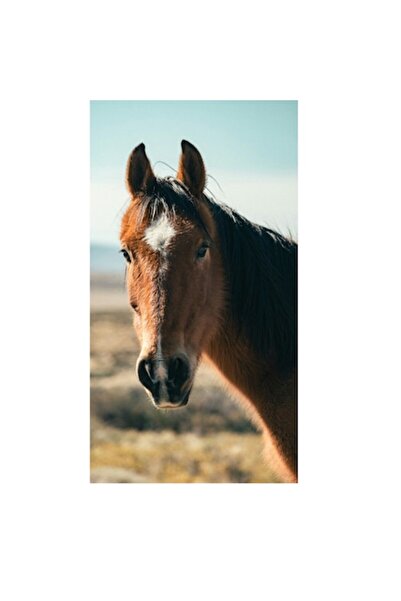 OEM Tablou Canvas Premium, „Noblete in Natura”