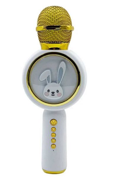 Generic Kids Microphone for Singing Wireless Bluetooth Karaoke Microphone, TF Card Speaker Multi-color Microphone
