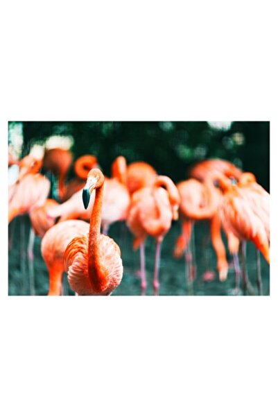 OEM Pictură pe pânză, „Grația flamingo-urilor roz în lumină”, 90 x 50 cm