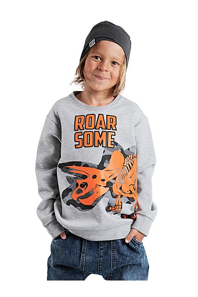 Denokids Hanorac gri Roar Boy