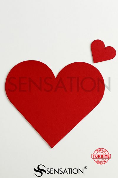 Sensation Valentine's Day Heart Plate American Service 2-Person Service Set Series