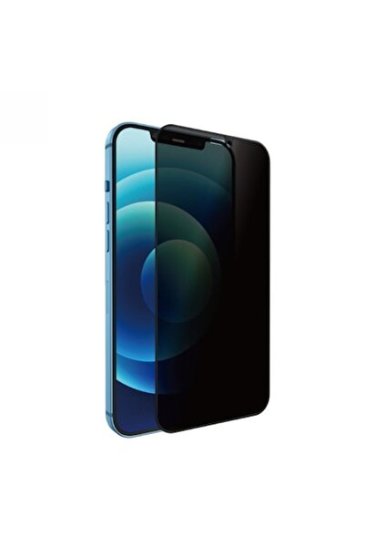 SOFAL Protector de ecran din sticlă securizată compatibil cu Apple iPhone 12 ...