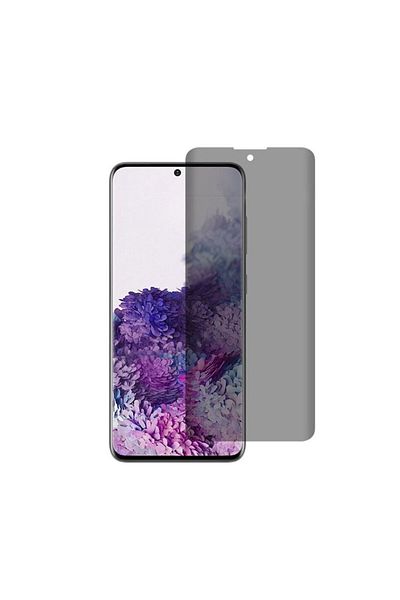dalip Privacy Screen Protector for Samsung Galaxy S22 Plus 5G/S23 Plus, Tempered Glass, Black