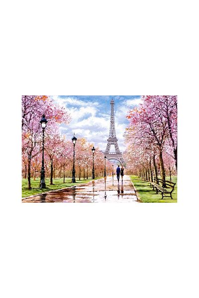 Castorland Puzzle - Romantic Walk in Paris, 1000 piese