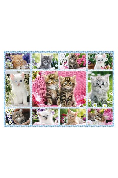 Schmidt Puzzle - Kitten, 100 pieces