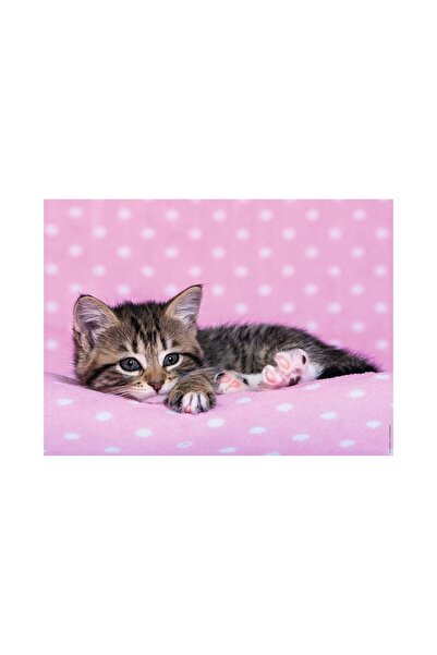 RAVENSBURGER Puzzle - Kitten, 200 pieces XXL