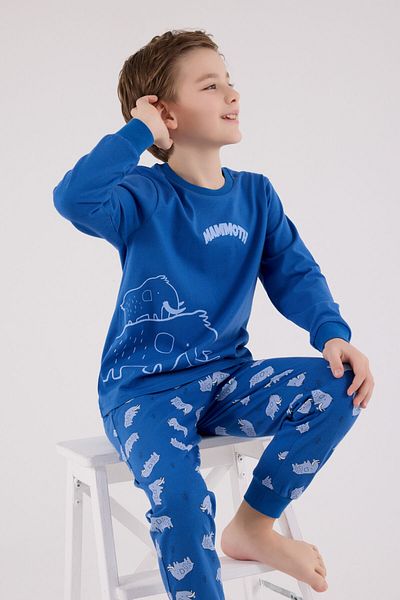 Rolypoly Boy's Blue Pajama Set