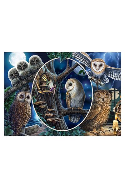 Schmidt Puzzle - Lisa Parker: Mysterious Owls, 1000 piese