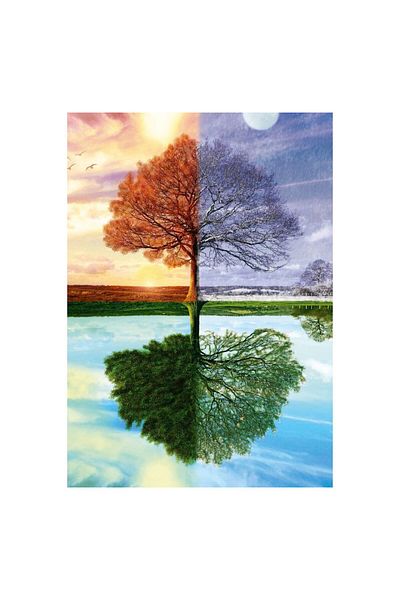 Schmidt Puzzle - Tree of Seasons, 500 pieces