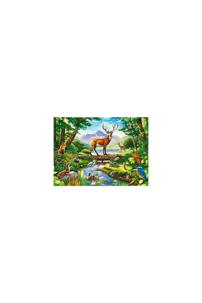 Castorland Puzzle - Woodland Harmony, 300 piese