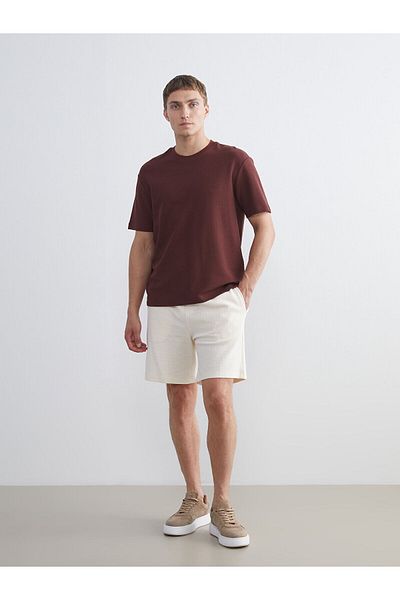 LC Waikiki Ανδρικό σορτς Standard Fit