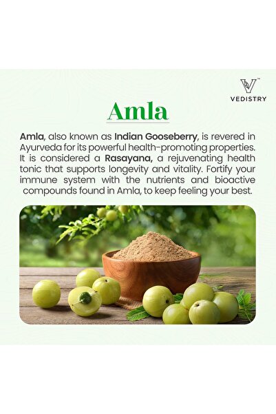 Vedi Vedistry Amla+ 1100mg Long Pepper Immune Support Vitality Wellness Vitamin C Antioxidants Immunity