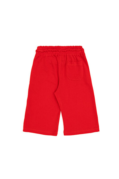 U.S. Polo Assn. Boy's Red Knitted Shorts 50298078-Vr030