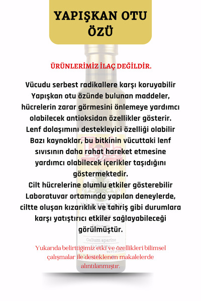 TİJDA Yapışkan Otu Özü 250 ml Yoğurt Otu Galium aparine