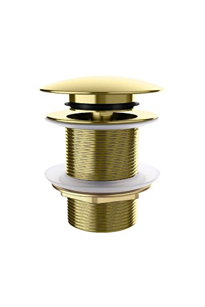 BRASS POP-UP BRUSHED GOLD SİFON BAŞLIĞI