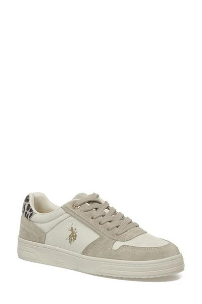U.S. Polo Assn. U.S.POLO ASSN PETRA 5PR BEIGE PIELE VERITĂȚI PANTOFI SPORT ANATOMICALI CASUAL