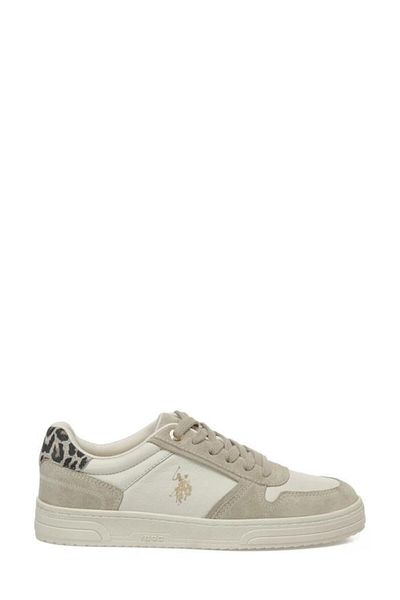 U.S. Polo Assn. U.S.POLO ASSN PETRA 5PR BEIGE PIELE VERITĂȚI PANTOFI SPORT ANATOMICALI CASUAL