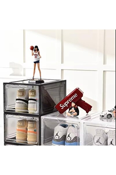 Briggs Shoe Organizer, PP+ABS, Magnetic Front Door, Dust Resistant