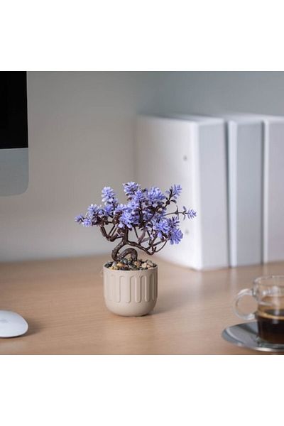 CLICK Decor Artificial Plants Bonsai, Flower Pot 12 x 17 cm, 4 Types