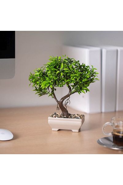CLICK Decor Artificial Plant Bonsai 18 X 24 Cm