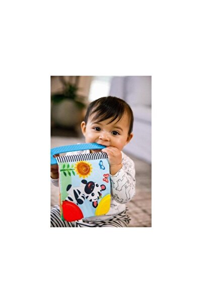 Baby Einstein Teething toy, Baby Einstein, Book-shaped With handle, With textures and colors, Plastic handle