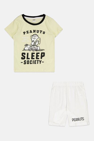 PEANUTS Toddlers Girl 2 Piece Short Sleeve Top And Shorts Set, Light Green/White