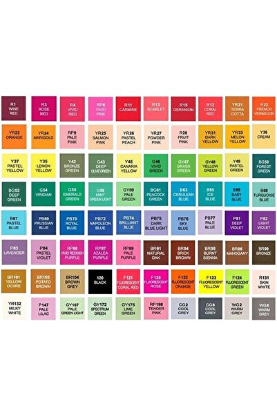 Flippy Set of 100 Double-Tip Alcohol Markers with Waterproof Case, Numbered Colors, Multicolor