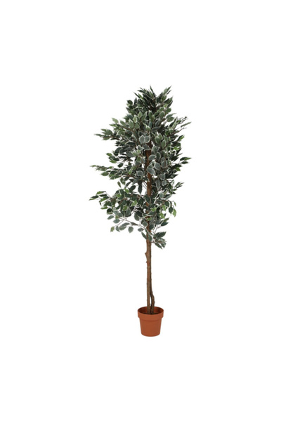 SERENE Leaves Realistic Looking Artificial Ficus Tree with Sturdy Pot 180 cm