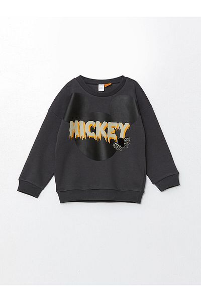 LC Waikiki Crew Neck Long Sleeve Printed Boys Sweatshirt and Sweatpants Bottom 2-Piece Set