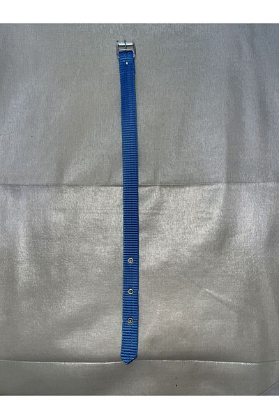 YILMAZ Blue Dog Collar Halter