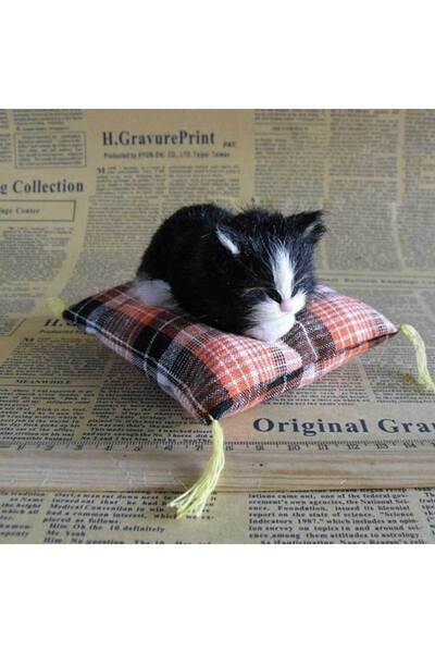 Choice3 زينة لعبة قطط محاكاة سوداء، محاكاة حيوان، زهرة، وسادة قماشية للقطط، ق...