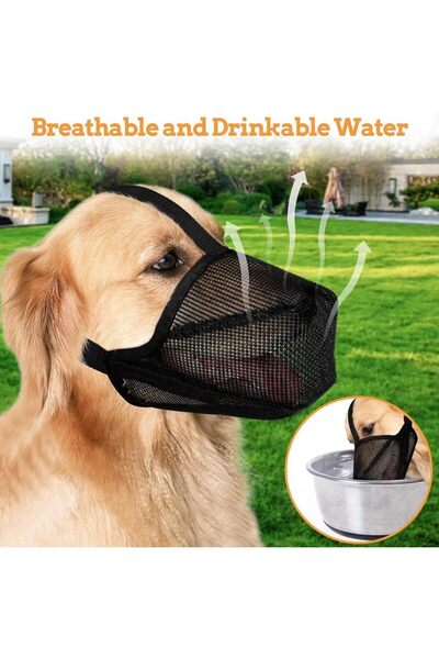 Choice كمامة كلب سوداء M، كمامات مغطاة بشبكة ناعمة للحماية من الطعم المسموم م...