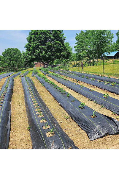 PROCART Agrotextile film, anti-weed, UV filter, 1.1x50 meters, 100 g/m2, polypropylene