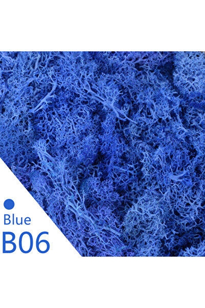 Choice 20 جرام B06 20/40 جرام نباتات خضراء صناعية من عشب الحياة الأبدية، صناع...