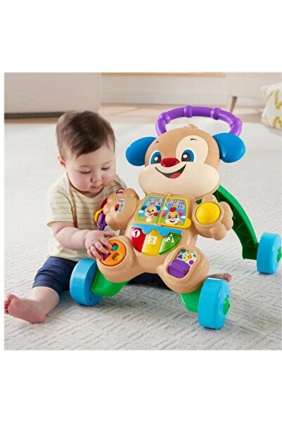 FISHER PRICE Activity Walker, Fisher Price, Puppy, Romanian Language