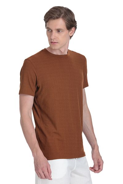 Hatemoğlu Brown Regular Fit Crew Neck T-Shirt