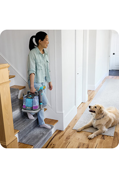 Shark StainStriker HairPro Pet PX250EUT, 450W