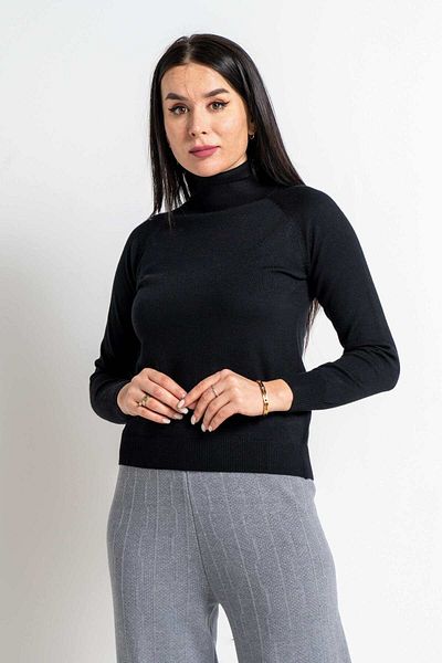 Nichii Solid Long Sleeve Top with High Neck