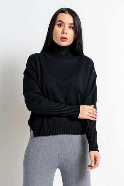 Nichii Women's Long Sleeve Solid Blouse with High Neck