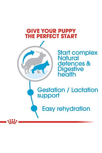Royal Canin Maxi Starter for large dogs and newborn puppies 1kg